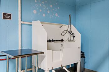 Pet wash station